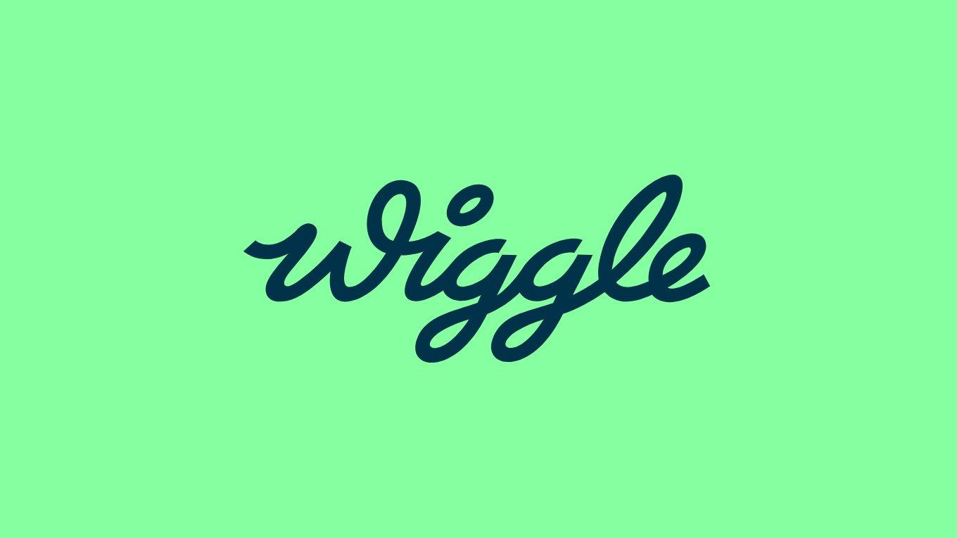 Wiggle best sale bike carrier